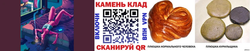 Наркотические вещества Южно-Сахалинск Бошки Шишки  mega tor  ГАШИШ  МЕФ 