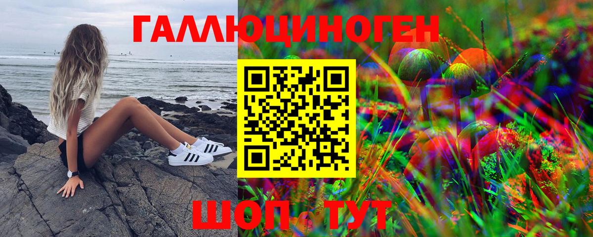 Галлюциногенные грибы прущие грибы  Псилоцибиновые грибы мухоморы  Южно-Сахалинск  Вход с VPN 
