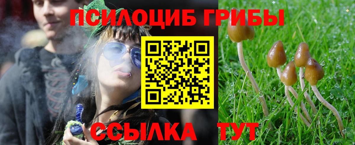 Галлюциногенные грибы мицелий Южно-Сахалинск